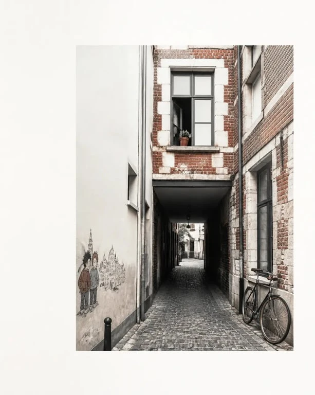 Bruxelles insolite dans une impasse pavée avec façade ancienne et fresque urbaine